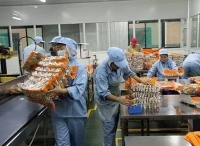 品牌食品生产经理